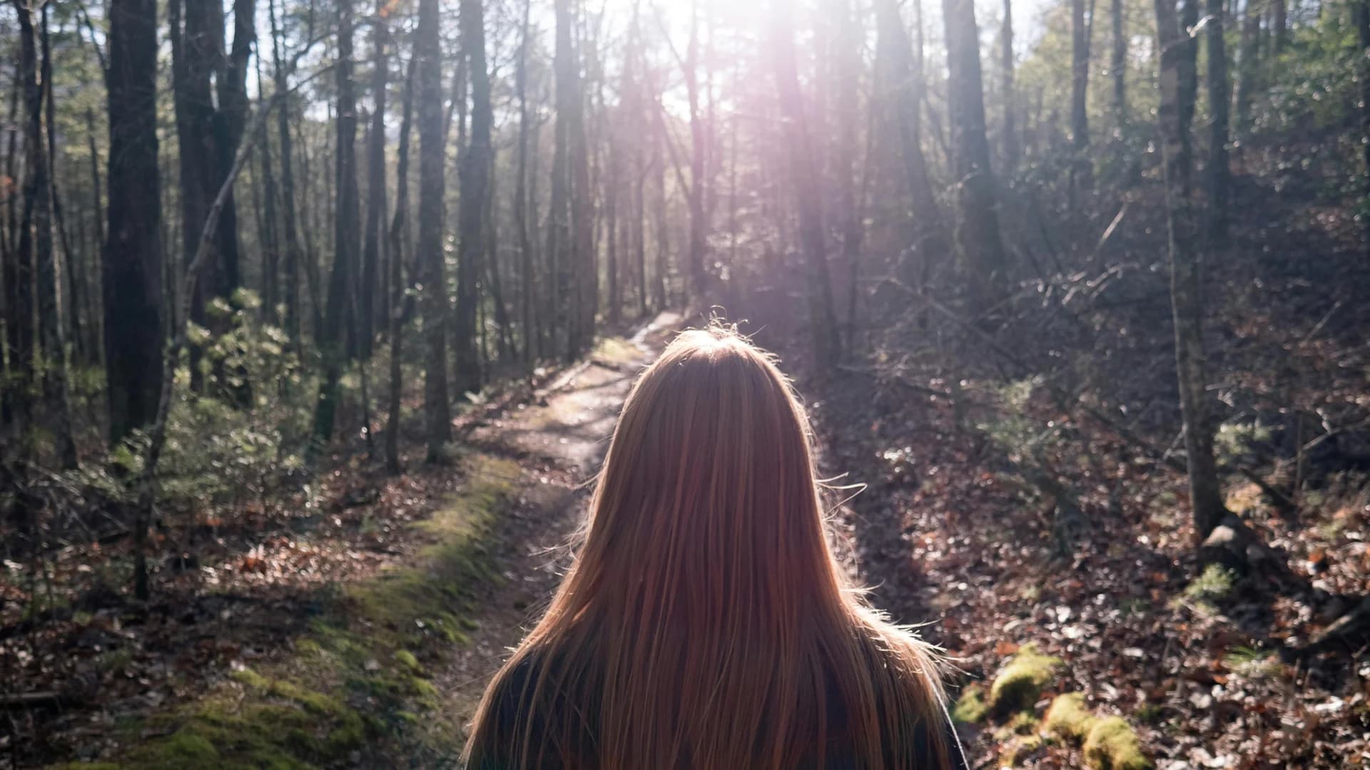 Forest path representing the journey from anxiety to self-trust